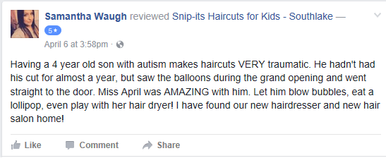 Sni-it Facebook Customer Review