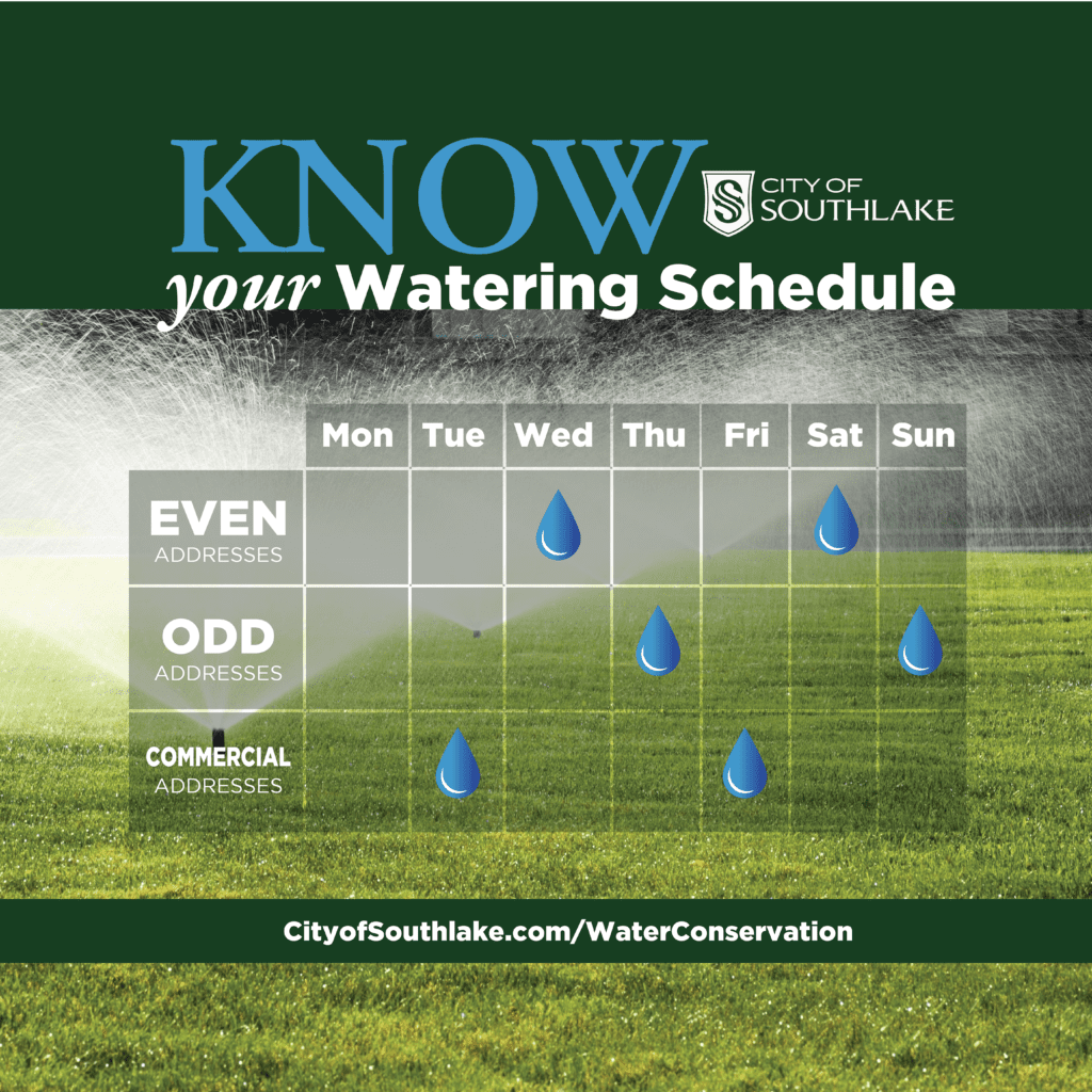 Plano Watering Schedule